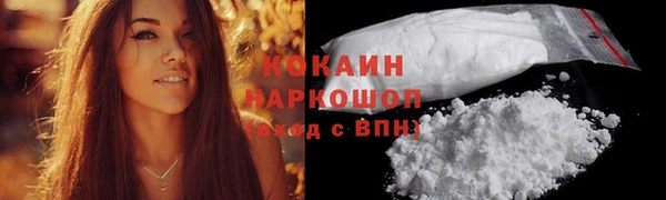 альфа пвп Заводоуковск