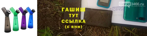 ПСИЛОЦИБИНОВЫЕ ГРИБЫ Щёлкино