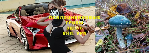 mdma Щигры